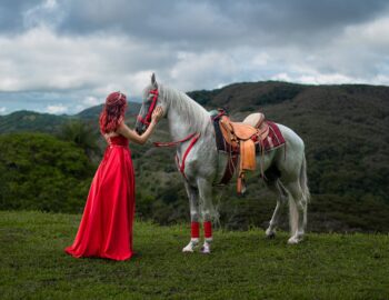 14 Ways to get Back in the Saddle