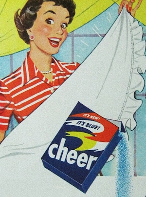 Do You Need to Spring Clean Your Brain? vintagecheerad