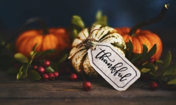 cultivating Gratitude This season