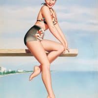 Five Shades of Why: Getting to the Real Truth Diving Board Beauty by Pearl Frush