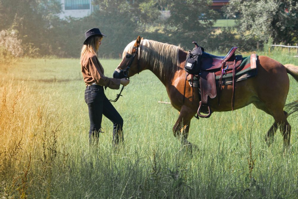 How Equestrianism Can Boost Mental Health and Personal Growth