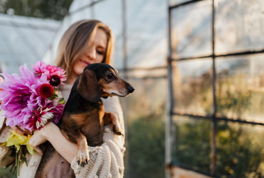 5 Ways Pets Help With Stress and Mental Health