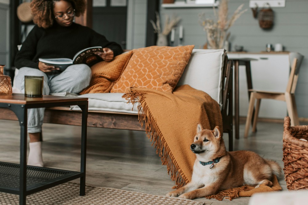 Creating a Home That Feels Like a Sanctuary: Simple Changes That Make All the Difference