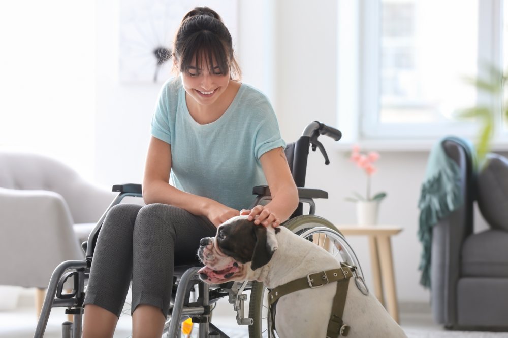 Everything About Service Dog Training Orlando