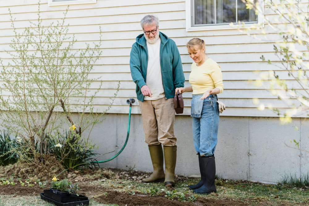 Make Your Home Less Inviting to Rodents