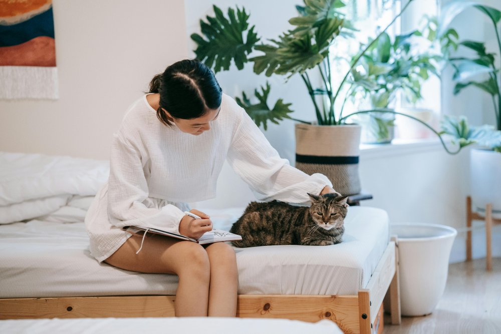 Pet Owner’s Guide: How to Protect Your Sofa From Fur, Scratches, and Stains