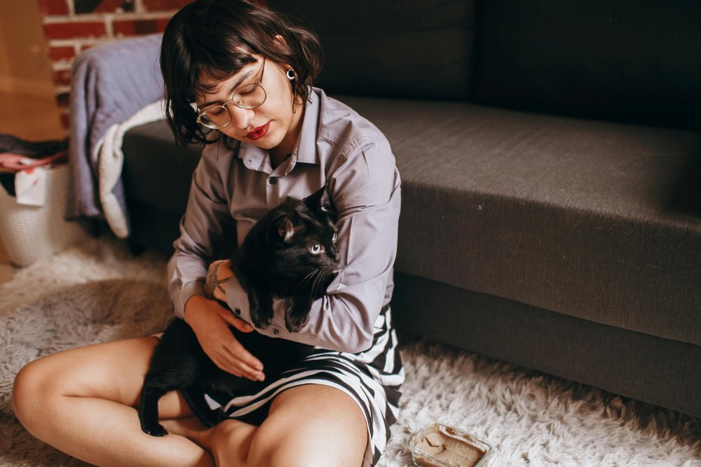 Why Is My Cat Hiding? A Silent Sign of Illness Pet Owners Often Miss