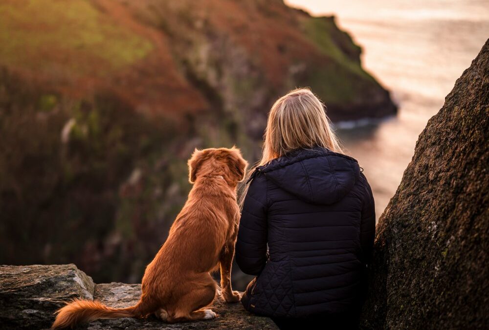 How To Build Healthy Feeding Habits For Your Pet